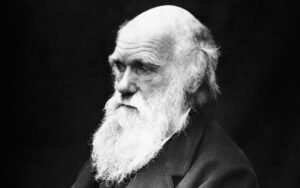 Charles Darwin Evolution
