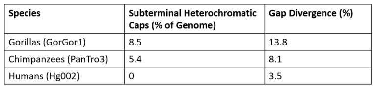 Subterminal Heterochromatic Caps