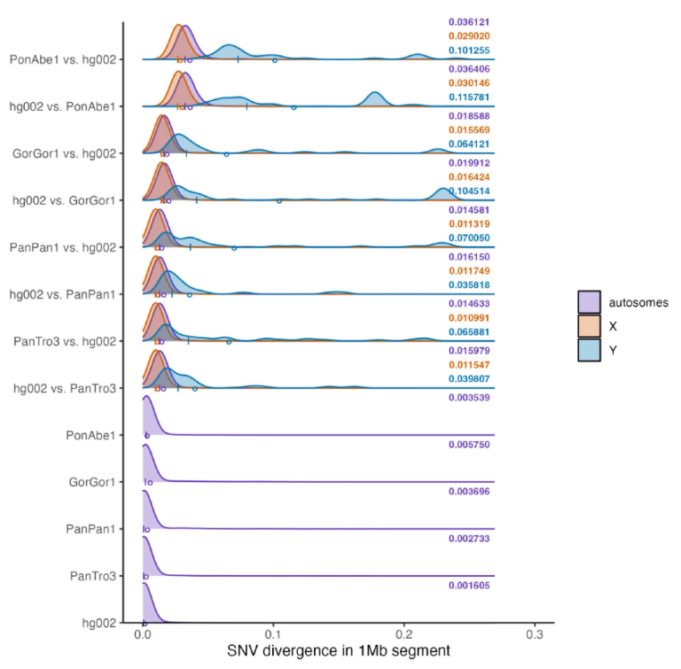 Single Nucleotide Variation